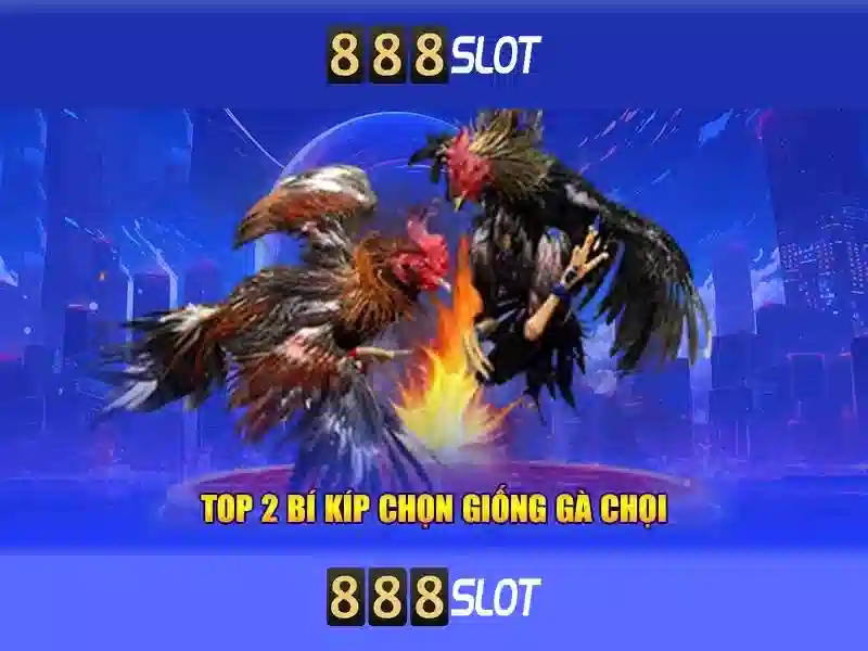 888slot: Khám phá nền tảng slot trực tuyến phổ biến