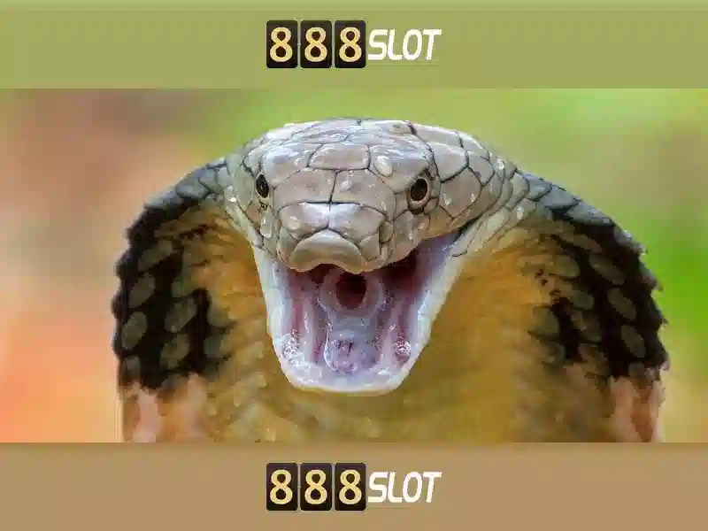 888 slot game app: Trải nghiệm đỉnh cao slot online