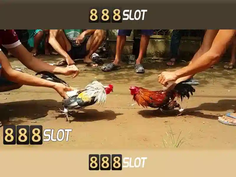 Khám phá 888slot - nền tảng casino trực tuyến phổ biến