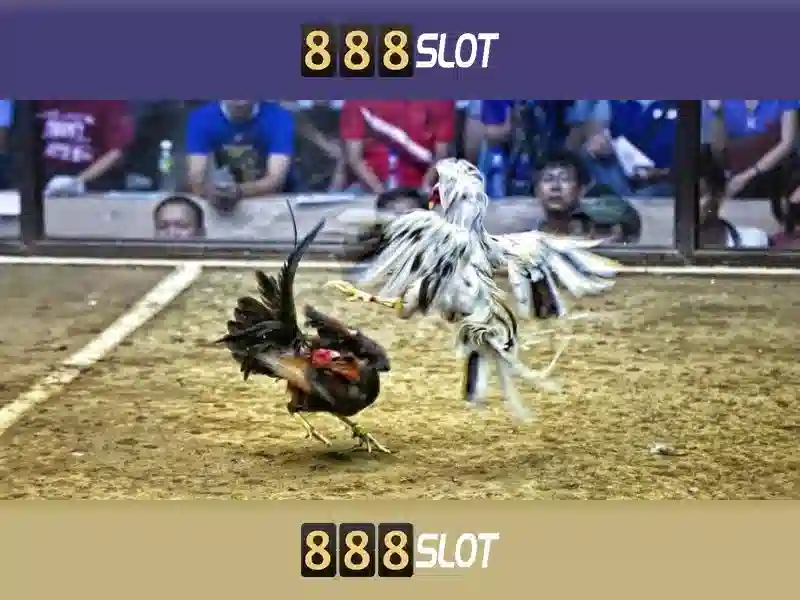 888Slot: Tổng quan về nền tảng casino trực tuyến uy tín