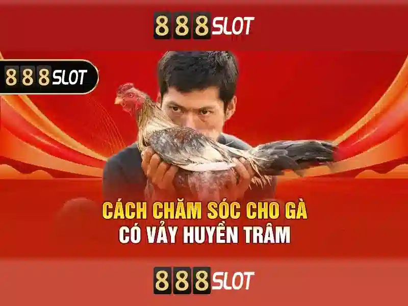 888slot – Đánh giá tổng quan về nền tảng casino trực tuyến