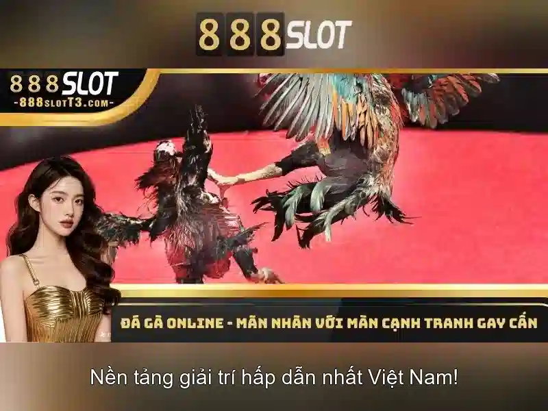 888slot - Nền tảng trò chơi trực tuyến và đánh bạc