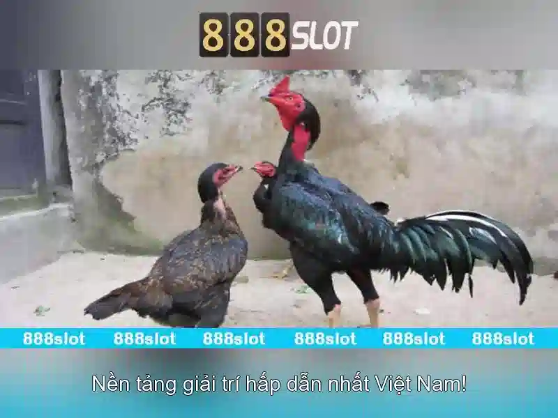 888slot – Sàn trò chơi slot trực tuyến uy tín tại Việt Nam
