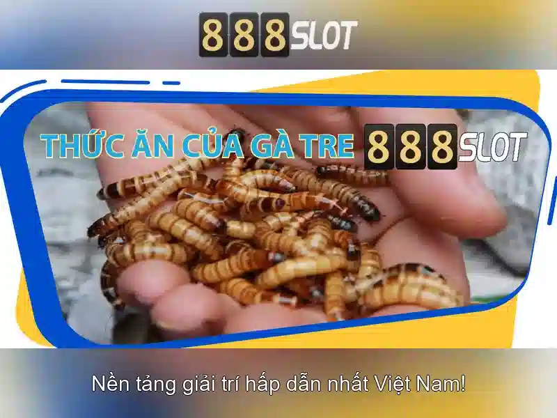 888slot: Đánh giá và trải nghiệm casino trực tuyến